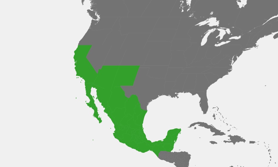 Mexican Mission Map (updated)